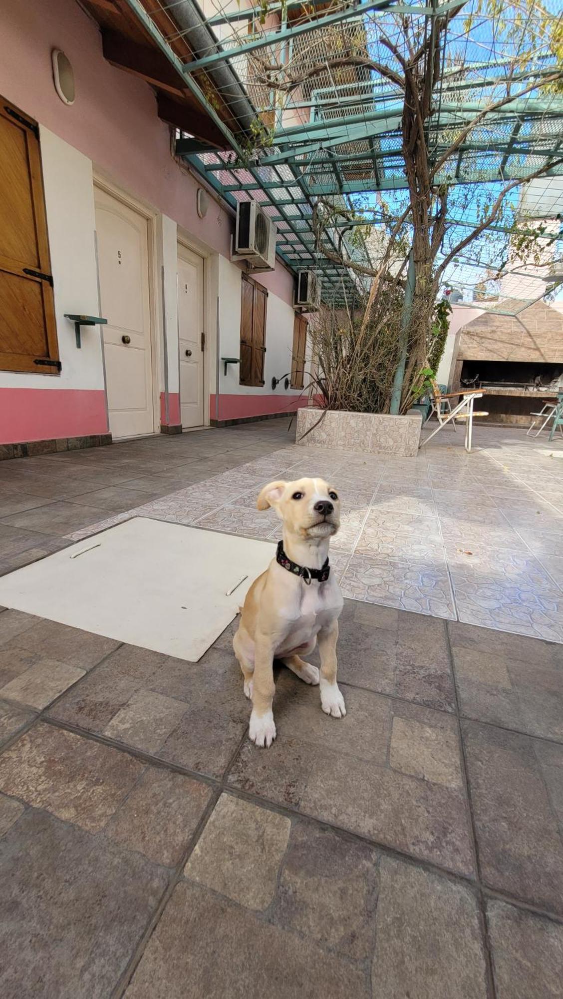Complejo Solar Apart Villa Regina Dış mekan fotoğraf